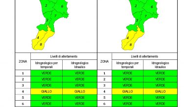 Criticità idrogeologica-idraulica e temporali in Calabria 10-11-2021