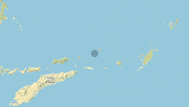 Terremoto 01-02-2022