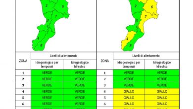 Criticità idrogeologica-idraulica e temporali in Calabria 07-03-2022