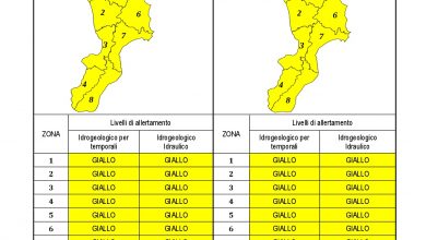 Criticità idrogeologica-idraulica e temporali in Calabria 01-04-2022