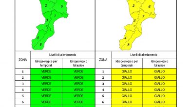 Criticità idrogeologica-idraulica e temporali in Calabria 08-06-2022