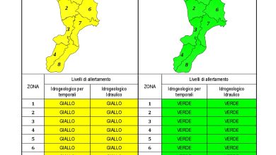 Criticità idrogeologica-idraulica e temporali in Calabria 14-10-2022