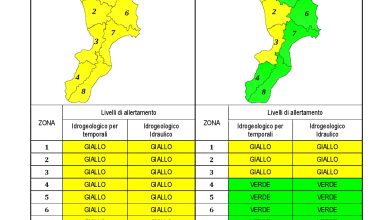 Criticità idrogeologica-idraulica e temporali in Calabria 17-11-2022