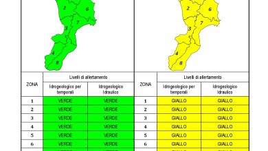 Criticità idrogeologica-idraulica e temporali in Calabria 12-12-2022