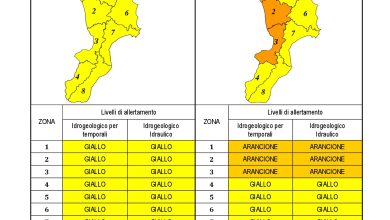 Criticità idrogeologica-idraulica e temporali in Calabria 13-12-2022