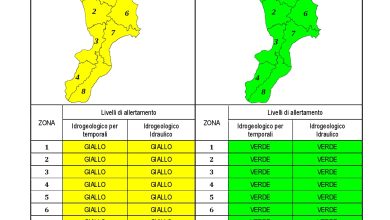 Criticità idrogeologica-idraulica e temporali in Calabria 14-12-2022