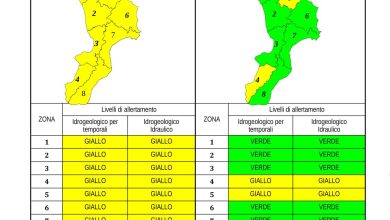 Criticità idrogeologica-idraulica e temporali in Calabria 03-03-2023