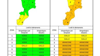 Criticità idrogeologica-idraulica e temporali in Calabria 02-04-2023