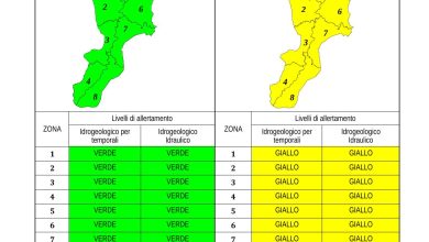 Criticità idrogeologica-idraulica e temporali in Calabria 09-11-2023