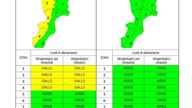 Criticità idrogeologica-idraulica e temporali in Calabria 12-11-2023